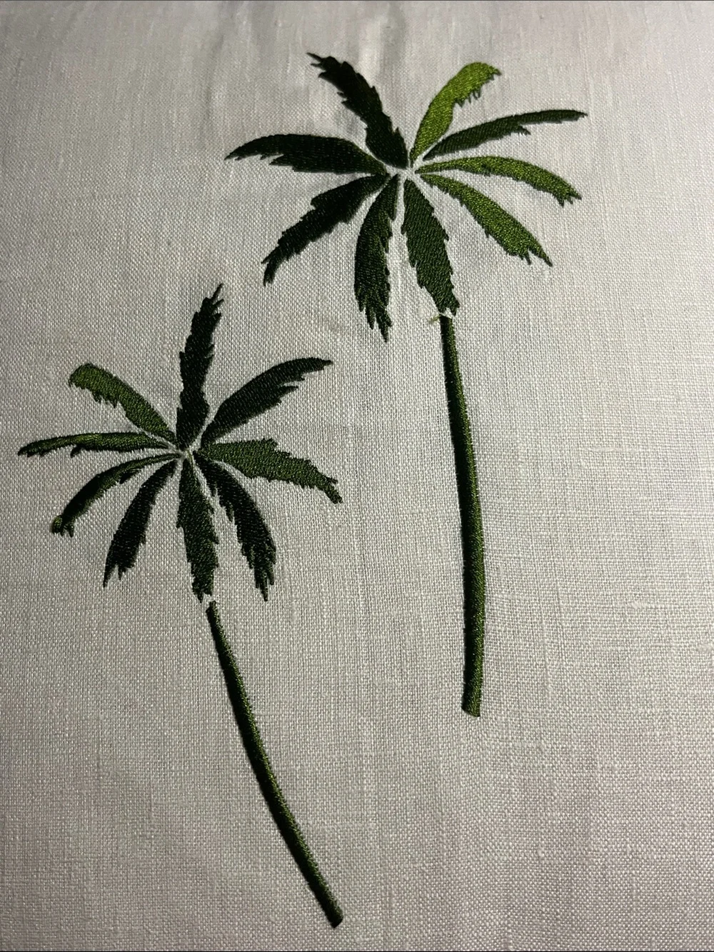 n/a palm breeze